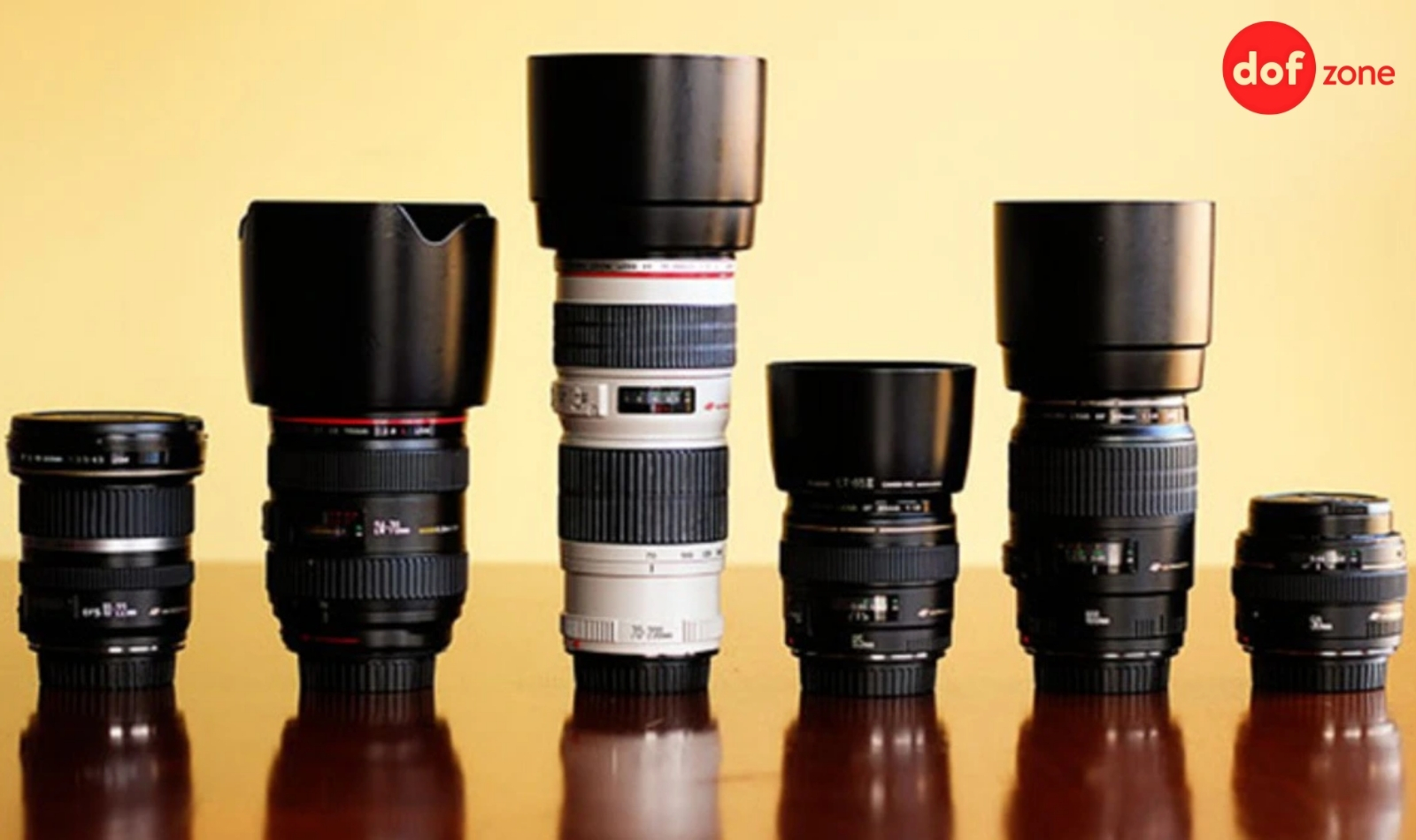 Huong-dan-cach-chon-lens-may-anh-chi-tiet-cho-nguoi-moi-1.jpg