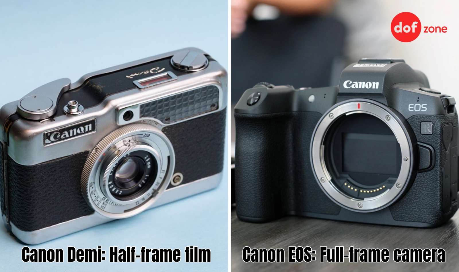 May-anh-half-frame-la-gi-Co-gi-khac-so-voi-may-anh-full-frame--7.jpg
