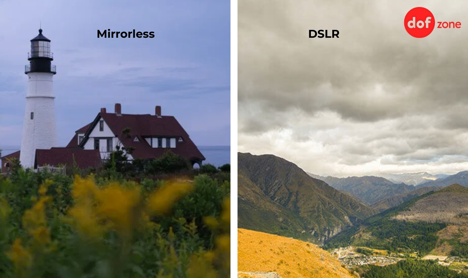 Nen-chon-may-anh-mirrorless-hay-DSLR-Dau-la-may-anh-tot-nhat-_nen-chon-may-anh-mirrorless-hay-dslr-4.jpg