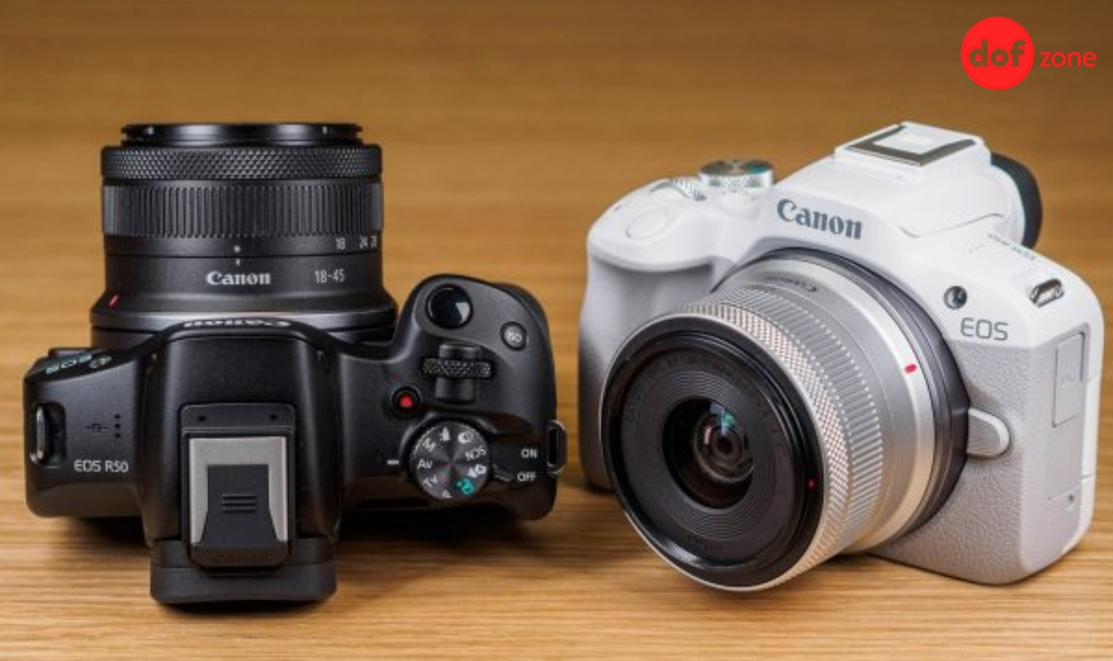 Review-Canon-EOS-R50-May-anh-tuyet-voi-cho-nguoi-moi-5.jpg