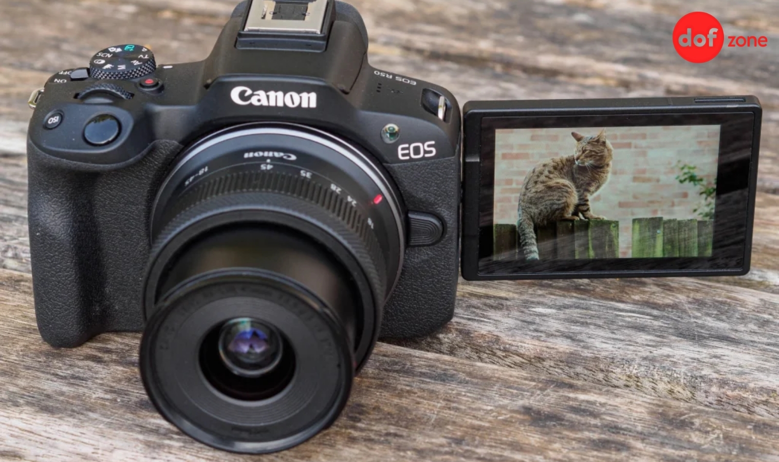 Review-Canon-EOS-R50-May-anh-tuyet-voi-cho-nguoi-moi-6.jpg
