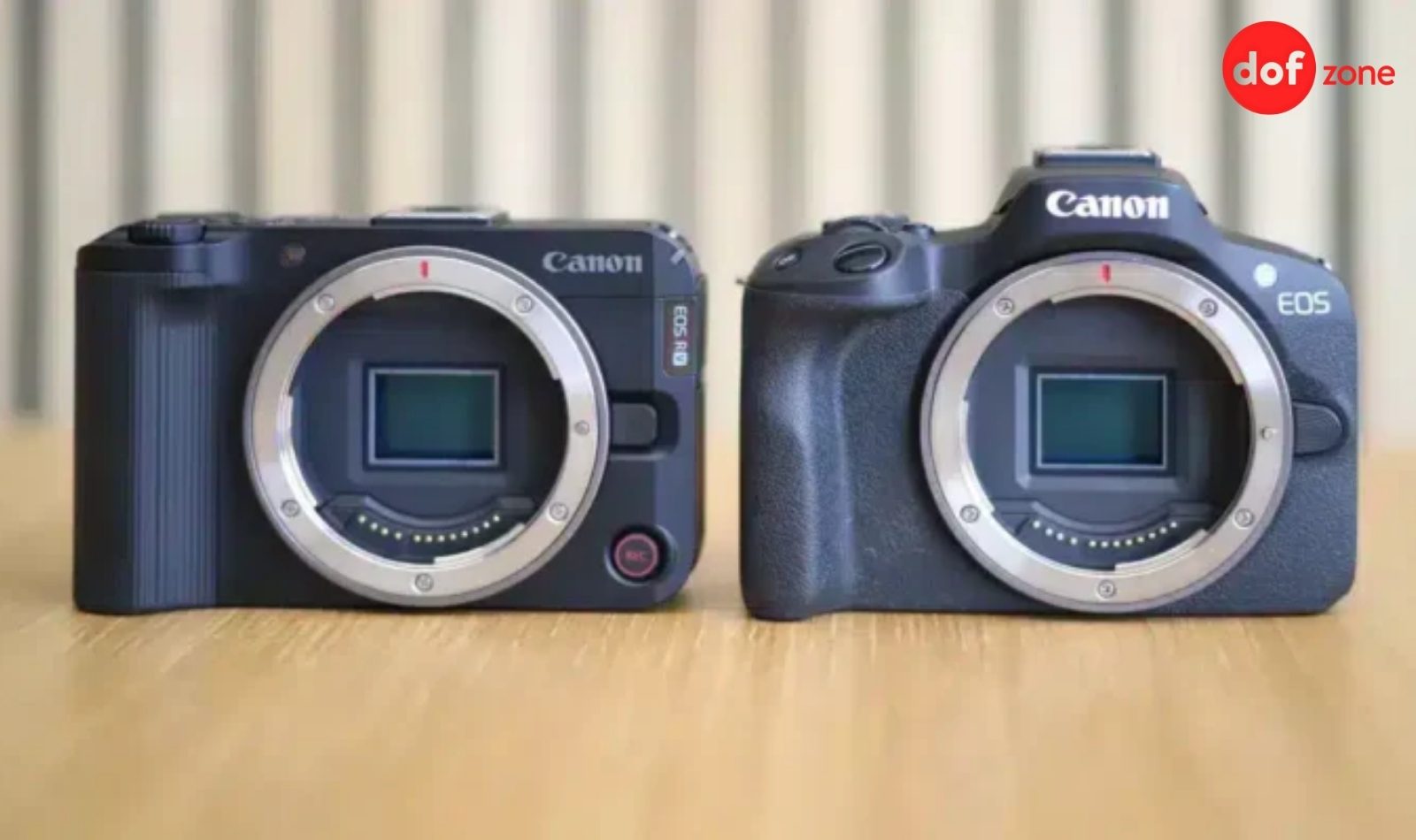 Review-Canon-EOS-R50-May-anh-tuyet-voi-cho-nguoi-moi-8.jpg