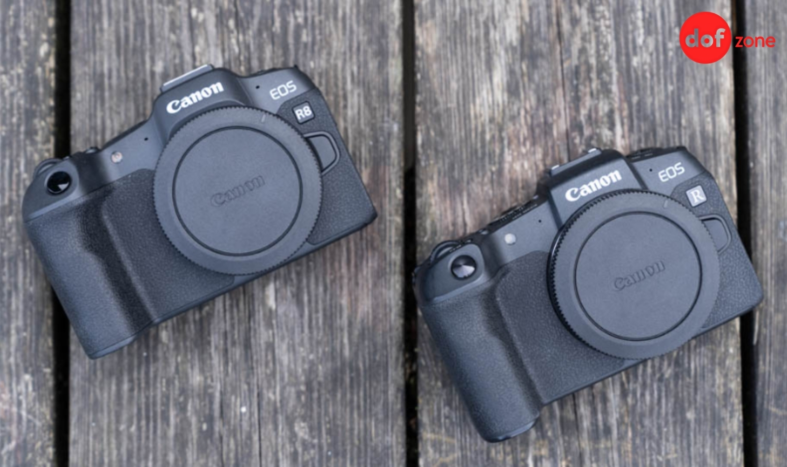 Review-Canon-R8-May-anh-nho-gon-phu-hop-cho-nguoi-moi-7.jpg