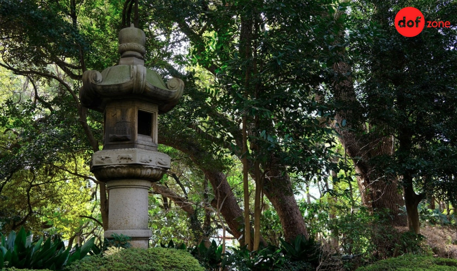 Review-Fujifilm-X100VI-May-anh-compact-duoc-san-don-hien-nay_review-fujifilm-x100vi-7-1.jpg