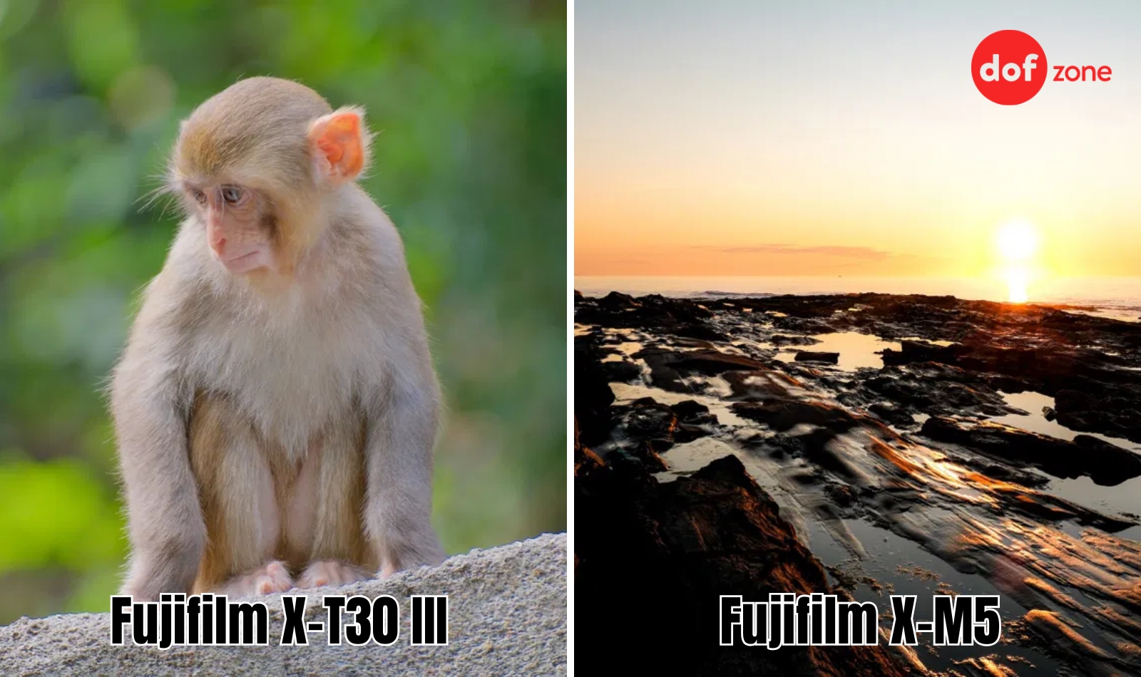 So-sanh-Fujifilm-X-T30-III-vs-X-M5-May-nao-phu-hop-voi-ban--9.jpg