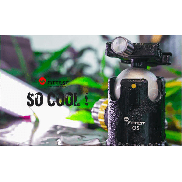 Fittest Q5 Ballhead (44mm) | Chính Hãng
