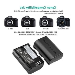 Bộ 2 Pin 1 Sạc Đôi Máy Ảnh Canon LP-E6 hiệu Ravpower| Chính Hãng - Ảnh 2