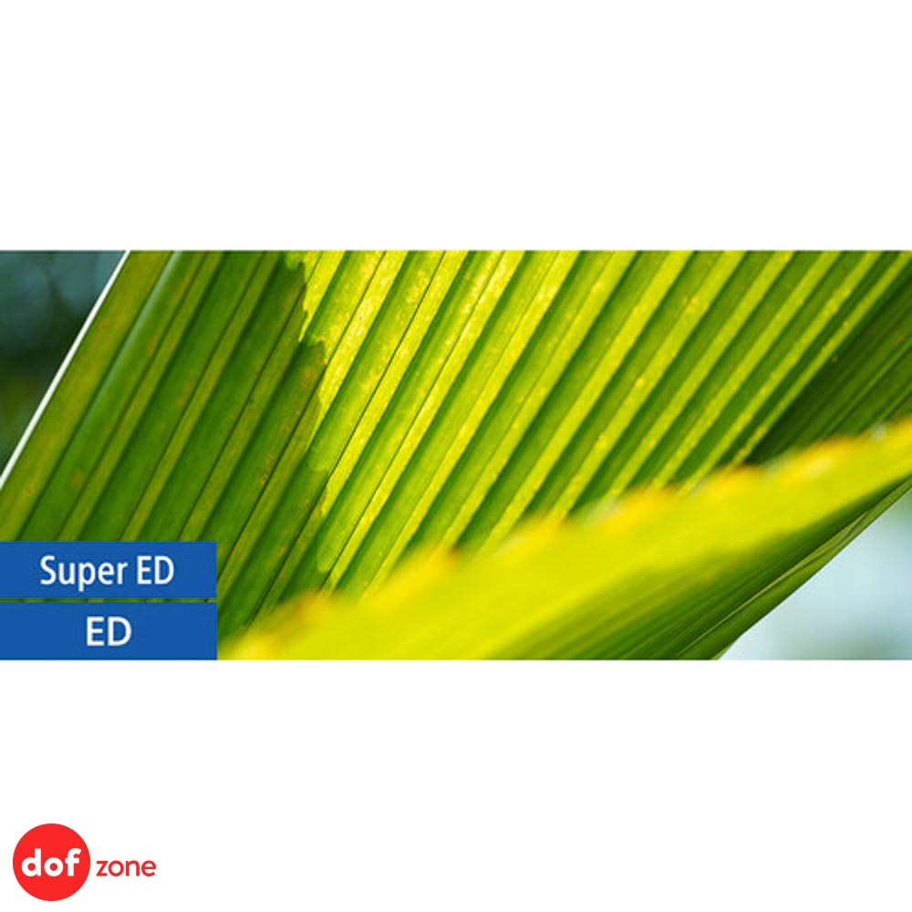 Sony FE 135mm F1.8 GM (SEL135F18GM) | Chính Hãng - Ảnh 16
