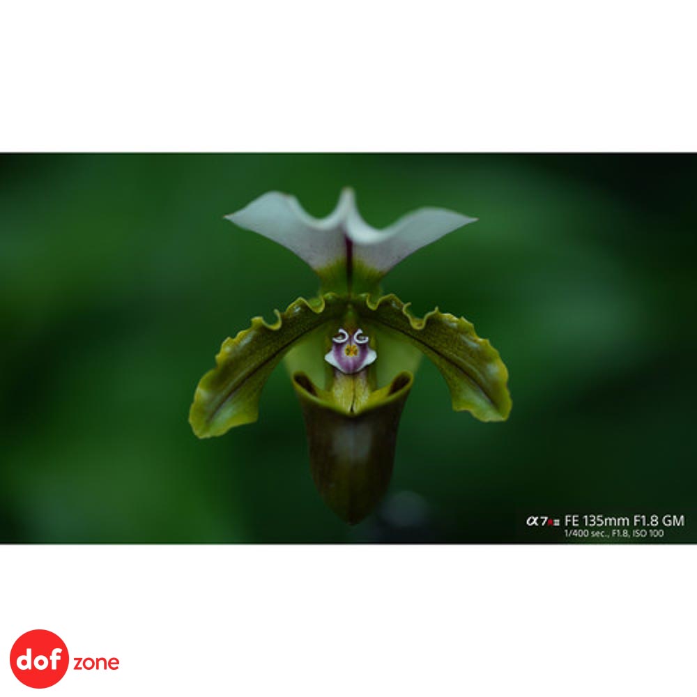 Sony FE 135mm F1.8 GM (SEL135F18GM) | Chính Hãng - Ảnh 11
