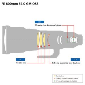 Sony FE 600mm F4 GM OSS (SEL600F4GM) | Chính Hãng - Ảnh 8