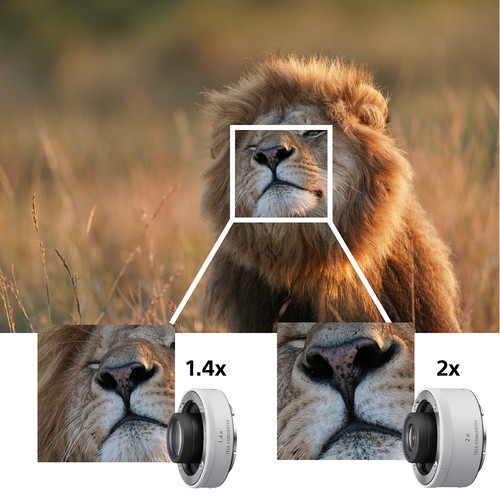 Sony FE 600mm F4 GM OSS (SEL600F4GM) | Chính Hãng - Ảnh 5