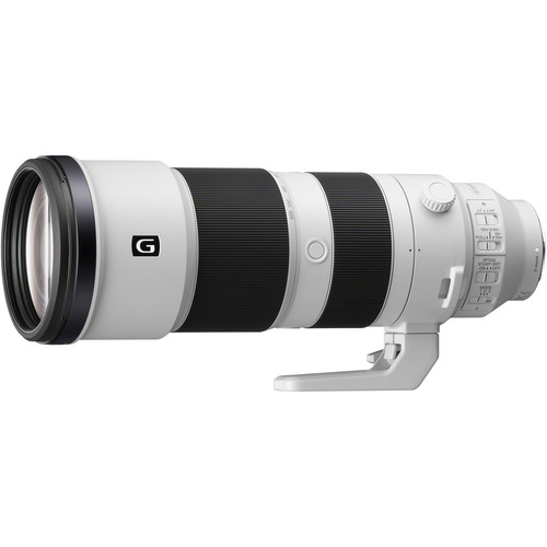 Sony FE 200-600mm F5.6-6.3 G OSS (SEL200600G) | Chính Hãng - Ảnh 10