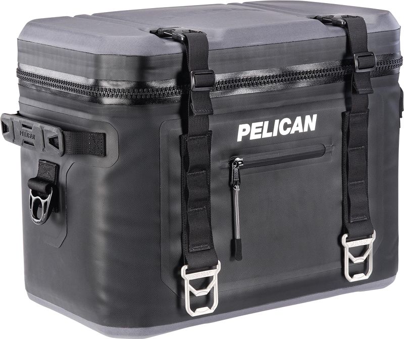 Case Chống Sốc Pelican Sc24 - Ảnh 2