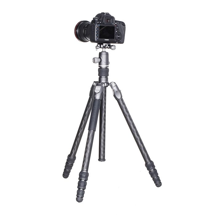 Benro FRHN24C-VX25 Tripod | Chính Hãng