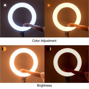 Tolifo R48B AC LED Ring light - Ảnh 3