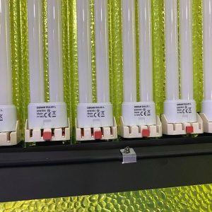 Đèn chiếu sáng Kino 6 bóng Osram Italy - Ảnh 3