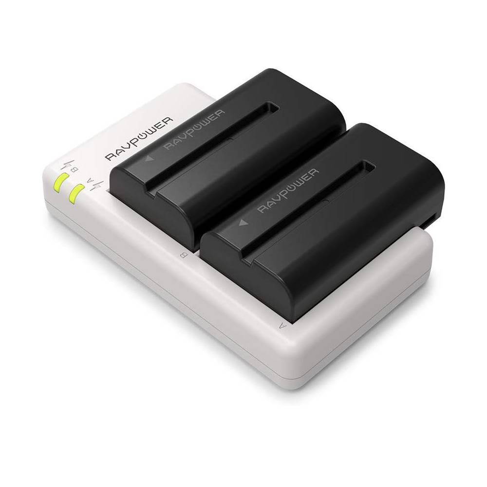 Bộ 2 pin 1 sạc đôi Ravpower RP-BC006 cho Sony NP-F550 - Chính Hãng - Ảnh 4