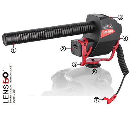 Mic thu âm shotgun LENSGO LYM-DM300 - Chính hãng - Ảnh 2