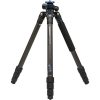 Benro SystemGo Plus FGP28C Tripod | Chính Hãng