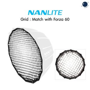 Grid tổ ong NANLite Forza 60 – EC-FZ60