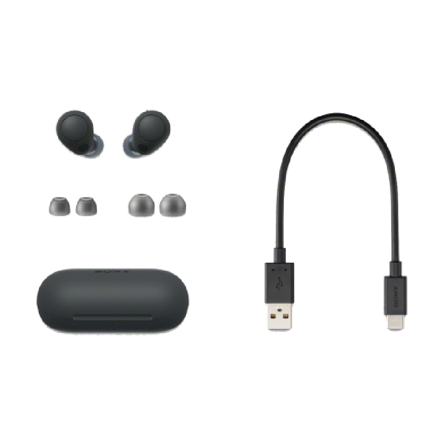 Tai nghe true wireless chống ồn Sony WF-C700N Đen - Ảnh 2