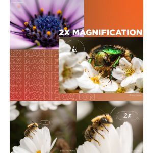 Ống kính Laowa FFII 90mm f/2.8 CA-Dreamer Macro 2X - Chính hãng - Ảnh 6