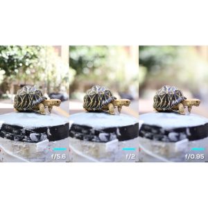 Ống kính Laowa Argus 25mm f/0.95 CF APO - Chính hãng - Ảnh 3