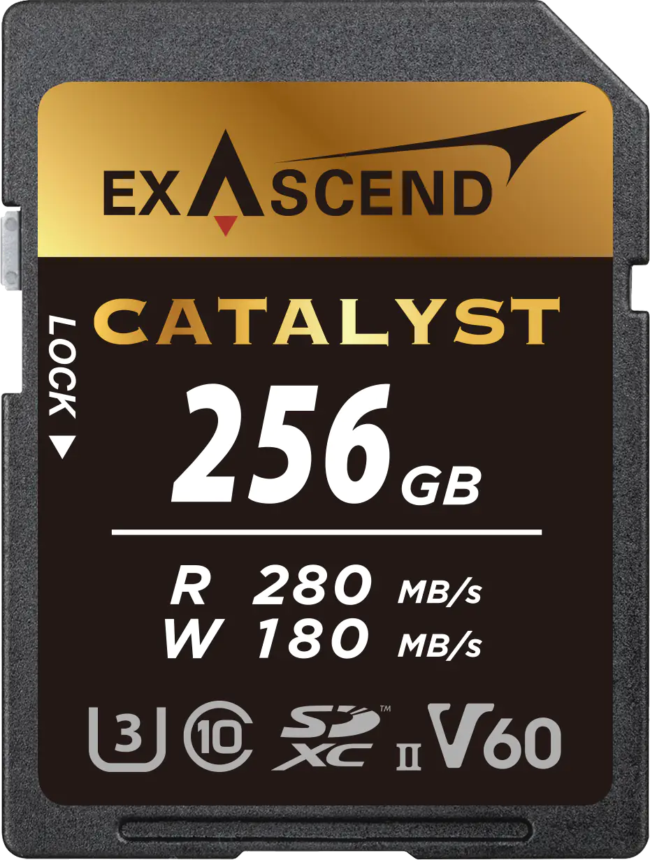 Thẻ nhớ SD Exascend 256GB V60 Catalyst | Chính Hãng