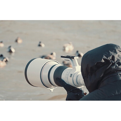 Canon RF 800mm F5.6 L IS USM | Chính Hãng - Ảnh 5