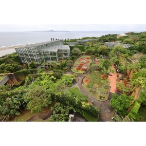 Canon RF 15-30mm F4.5-6.3 IS STM | Chính Hãng - Ảnh 10