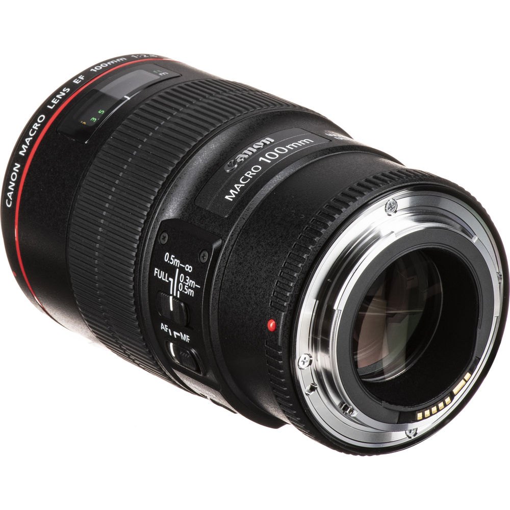 Canon EF 100mm f/2.8L Macro IS USM | Chính Hãng - Ảnh 4