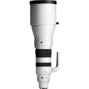 Sigma 300-600mm f/4 DG OS (S) (For Sony E) | Chính Hãng - Ảnh 7