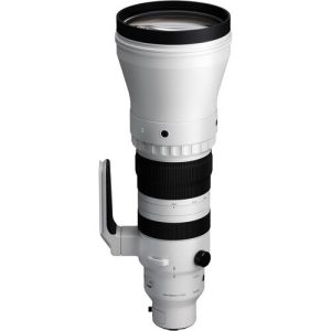 Sigma 300-600mm f/4 DG OS (S) (For L-Mount) | Chính Hãng - Ảnh 8