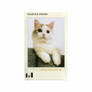 Hộp phim Fujifilm Instax Mini 10 tấm (Photo Slide) - Chính Hãng - Ảnh 8