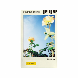 Hộp phim Fujifilm Instax Mini 10 tấm (Photo Slide) - Chính Hãng - Ảnh 6