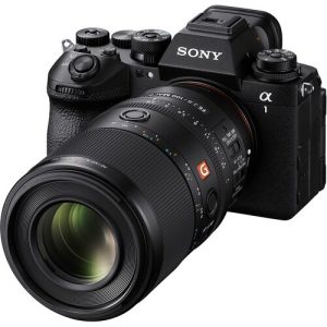 Sony FE 100mm F2.8 Macro GM (SEL100M28GM) | Chính Hãng - Ảnh 9