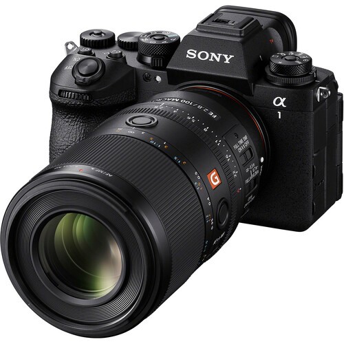 Sony FE 100mm F2.8 Macro GM (SEL100M28GM) | Chính Hãng - Ảnh 9
