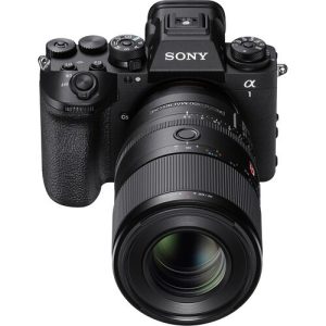 Sony FE 100mm F2.8 Macro GM (SEL100M28GM) | Chính Hãng - Ảnh 8