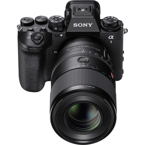 Sony FE 100mm F2.8 Macro GM (SEL100M28GM) | Chính Hãng - Ảnh 8