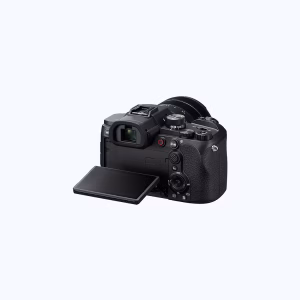 Sony RX10 V (DSC-RX10M5) | Chính Hãng - Ảnh 11